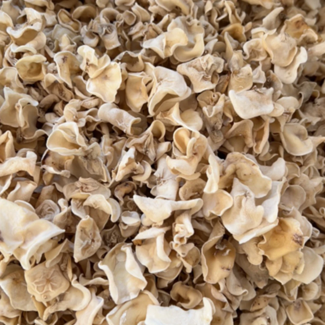 脆脆玉木耳新年超级福利