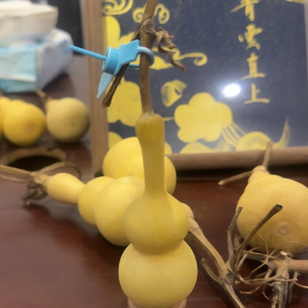 青皮不包成青皮不包成