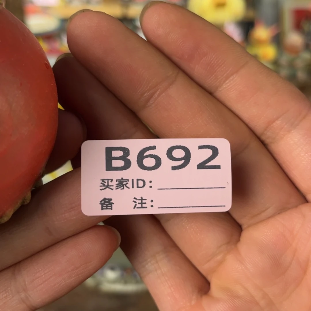 泥塑小***理纯手工茶宠摆件