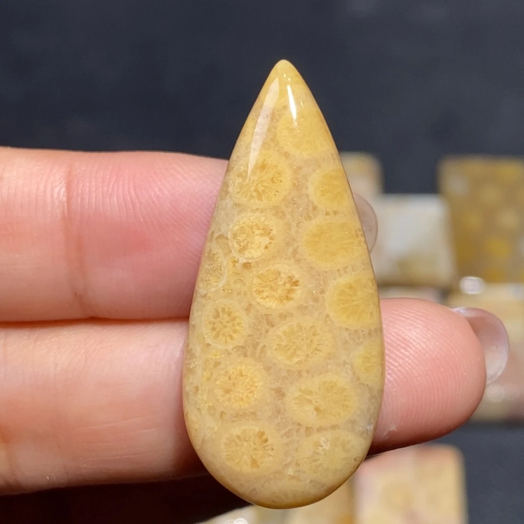 【闪购商品】硅化玉珊瑚玉未镶嵌