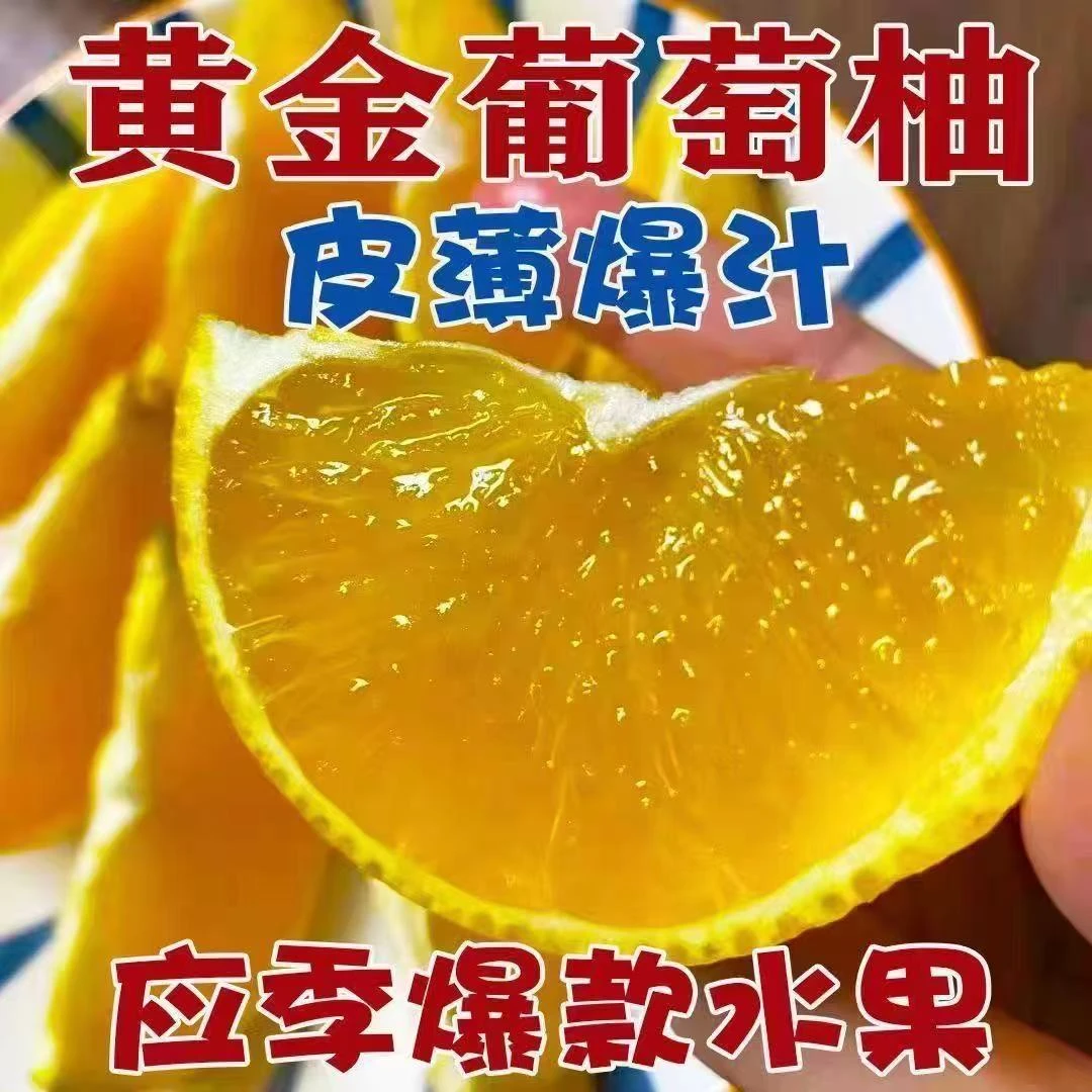 正宗福建黄金爆汁葡萄柚当季新鲜现摘当季薄皮平和柚子水果批发价
