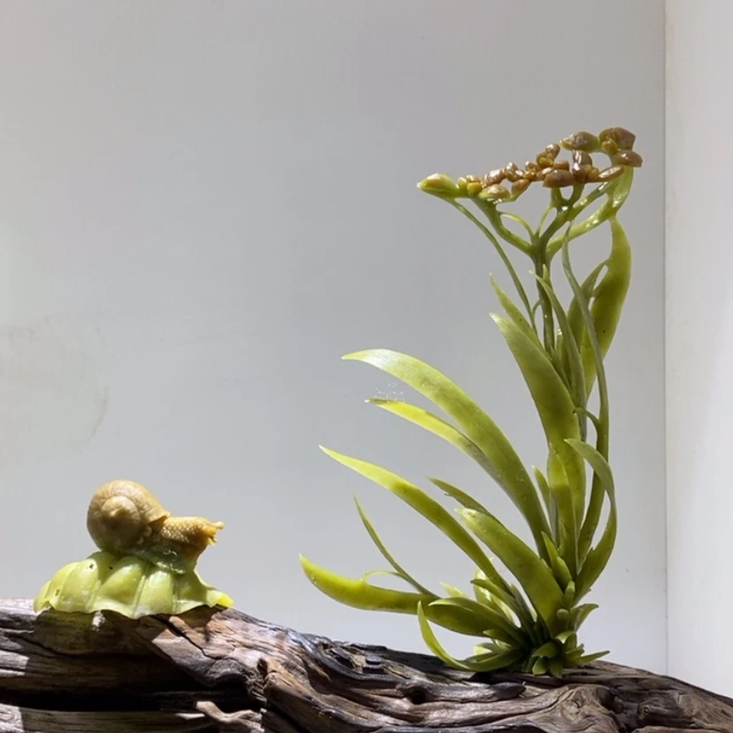 【闪购商品】蛇纹石玉（覆膜）珠宝奇石未镶嵌