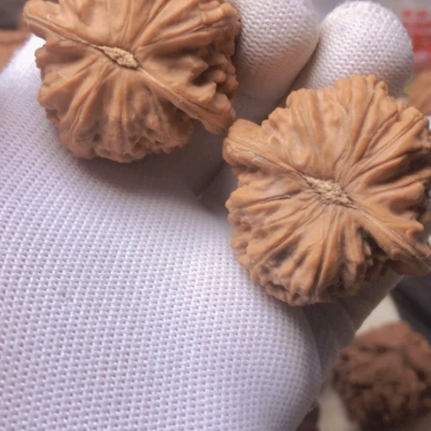 【闪购商品】桃核吊坠虎****！白狮子头狮子头