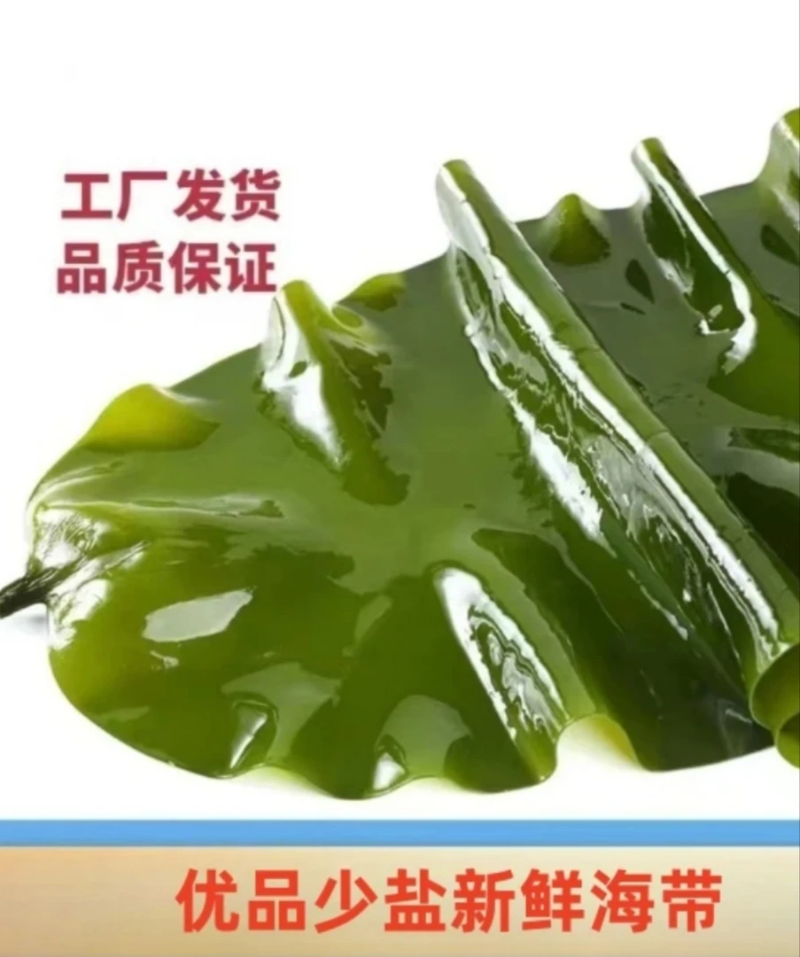25年新海带！大连新鲜盐渍海带带箱五斤！凉拌鲜嫩包饭包美味涮火锅