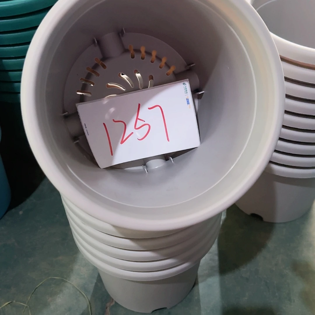 树脂编号1257带拖