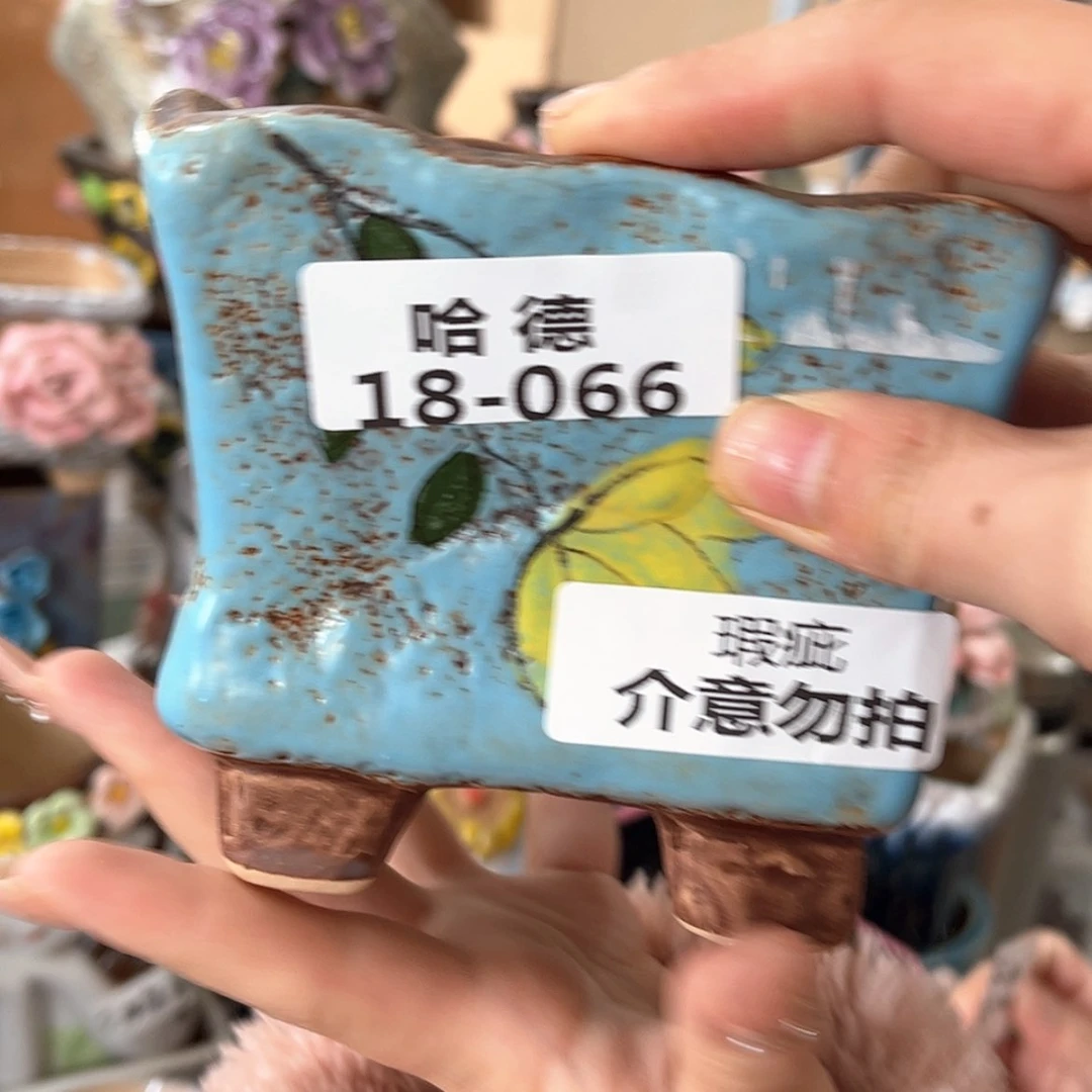 【闪购商品】红陶瑕疵1866
