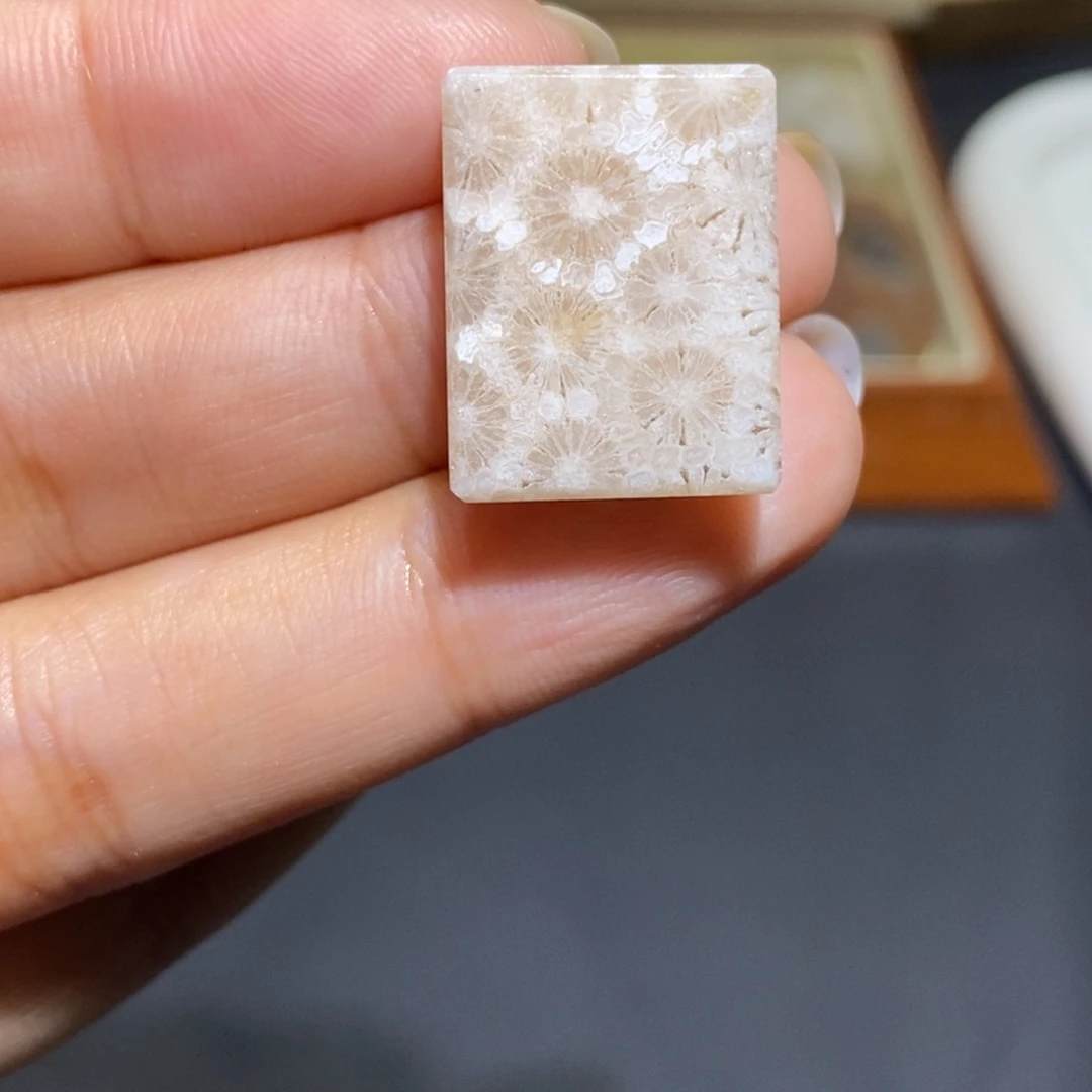 【闪购商品】未镶嵌珊瑚玉硅化玉