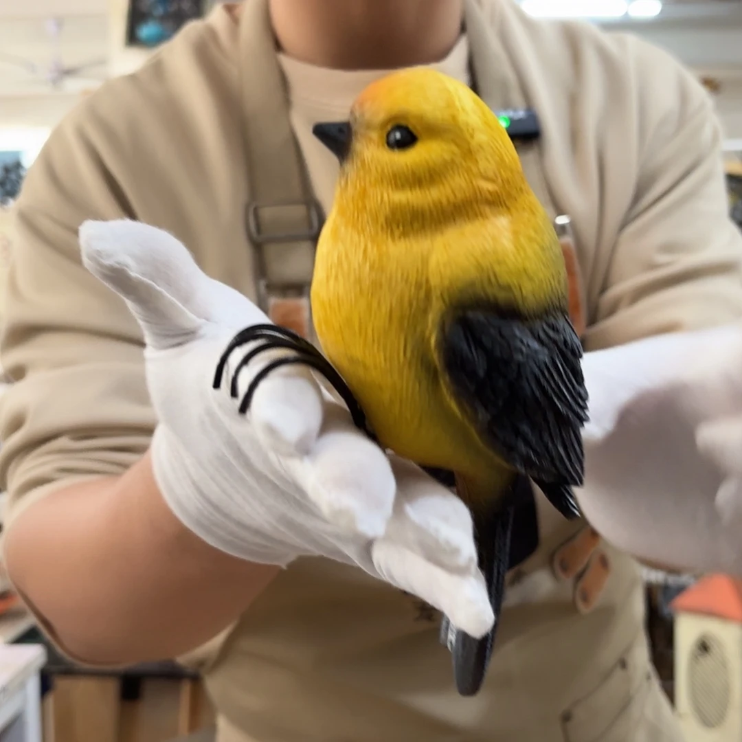 核桃木/黑胡桃（胡桃木）