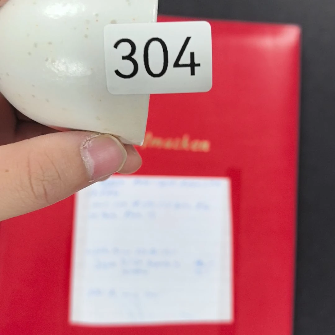 对哦哦哦哦哦哦哦哦欧欧