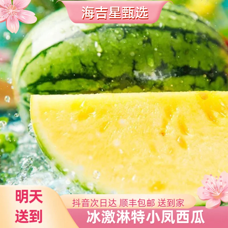 【约3斤】冰激淋特小凤西瓜云南省