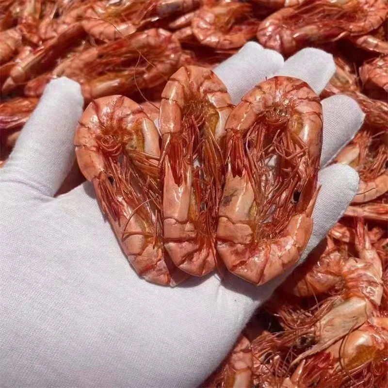 铜树脂吊坠 （桂和名轩）九节虾干