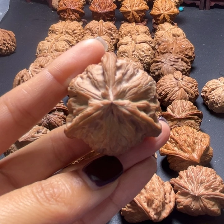 战鼓三棱核桃哈哈哈哈哈哈