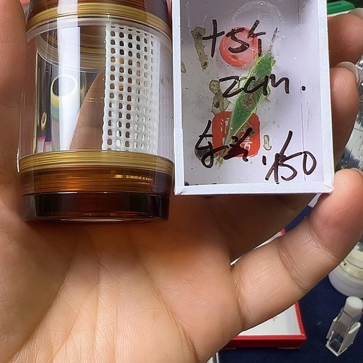 东***洋哈哈哈哈哈哈哈哈