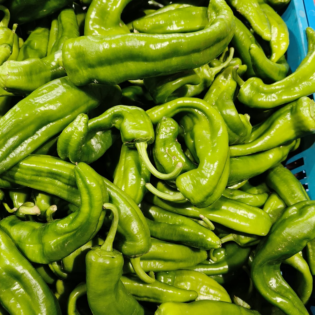 大青椒3.98元1斤