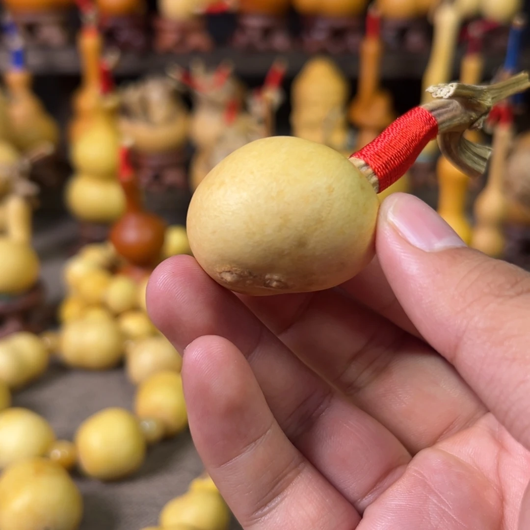 葫芦双脐小坦克葫芦