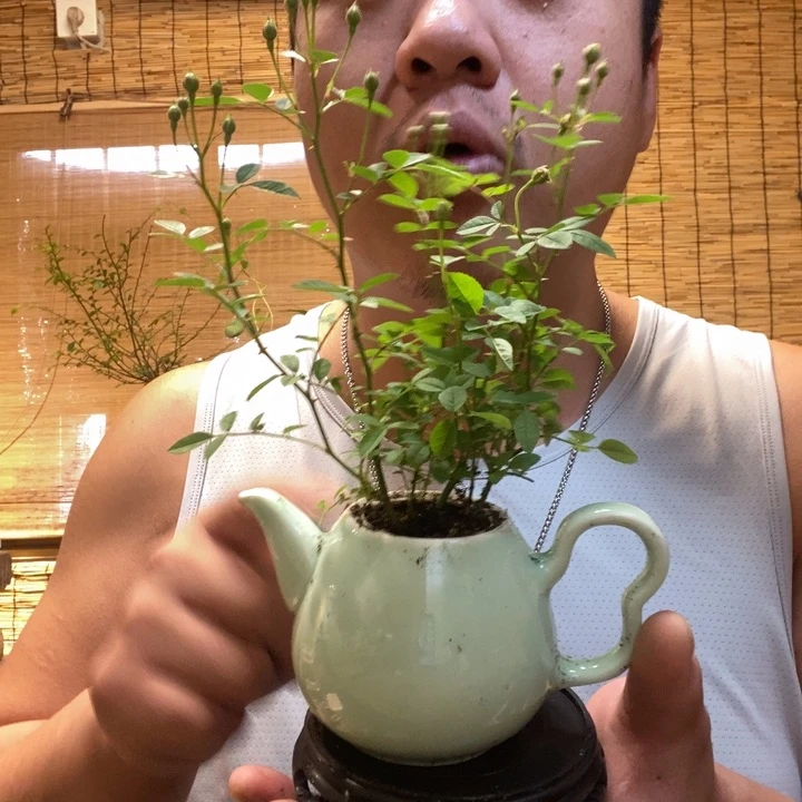 一物一拍所见即所得118