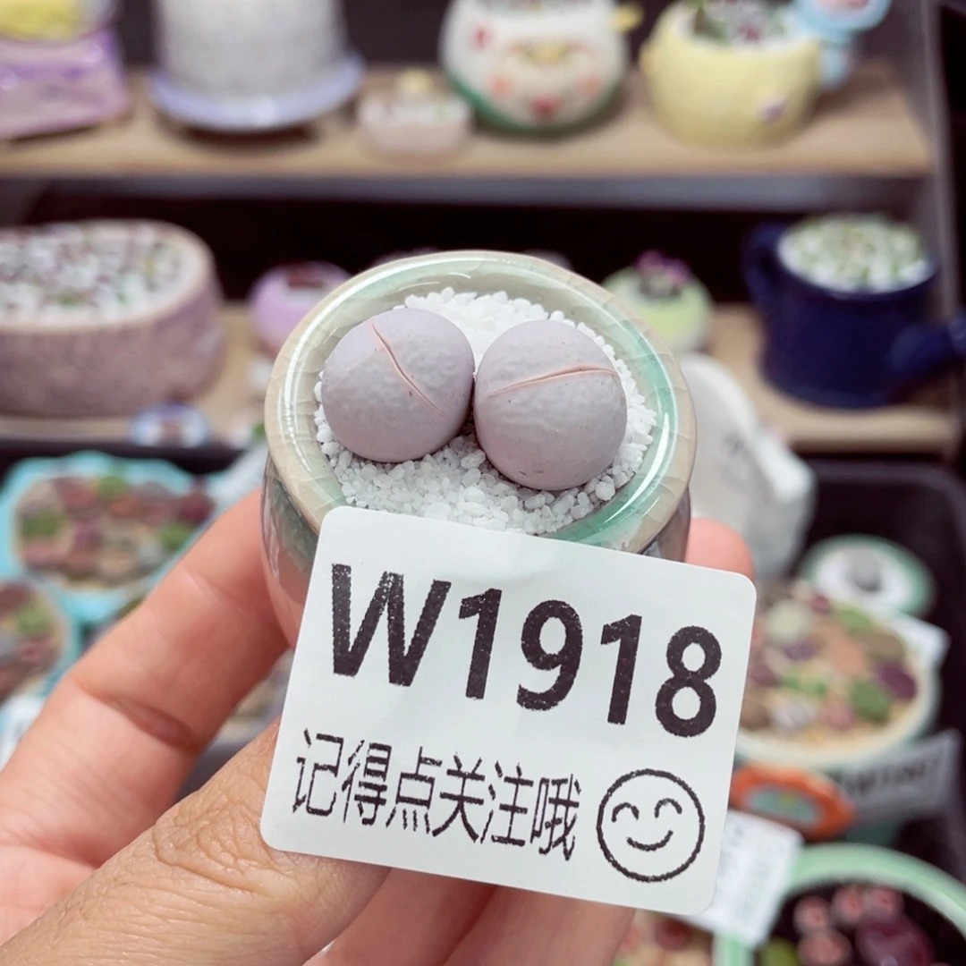 1918-零下地区需拍保温箱