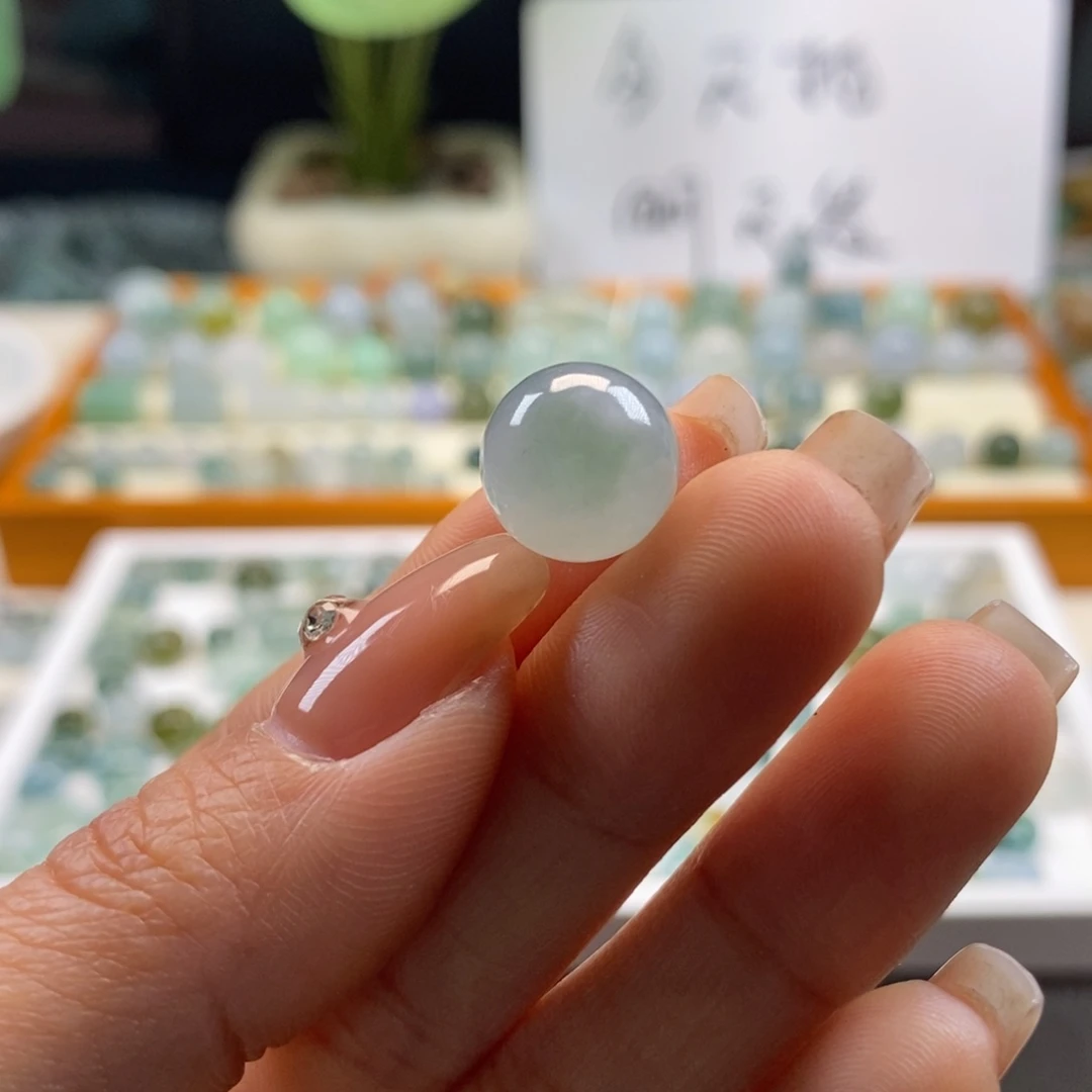 翡翠散珠天然植物11.6