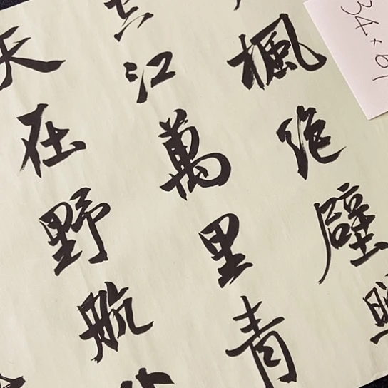 书法张建东老师书法作品