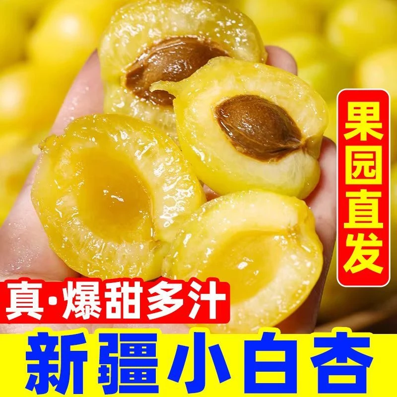 【新疆仓直发】新疆小白杏正宗白杏甜度高1/2公斤 今天拍明天到新疆维吾尔自治区