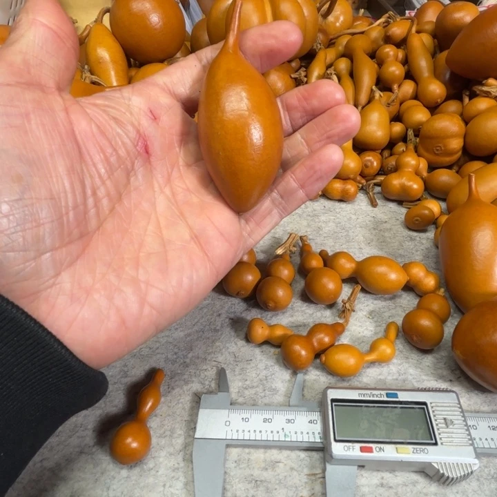 W****WSY的一把异形机芯葫芦