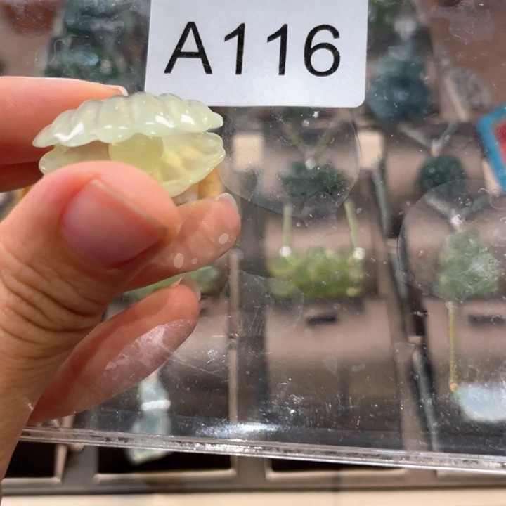 蛇纹石玉未镶嵌吊坠(赠链)