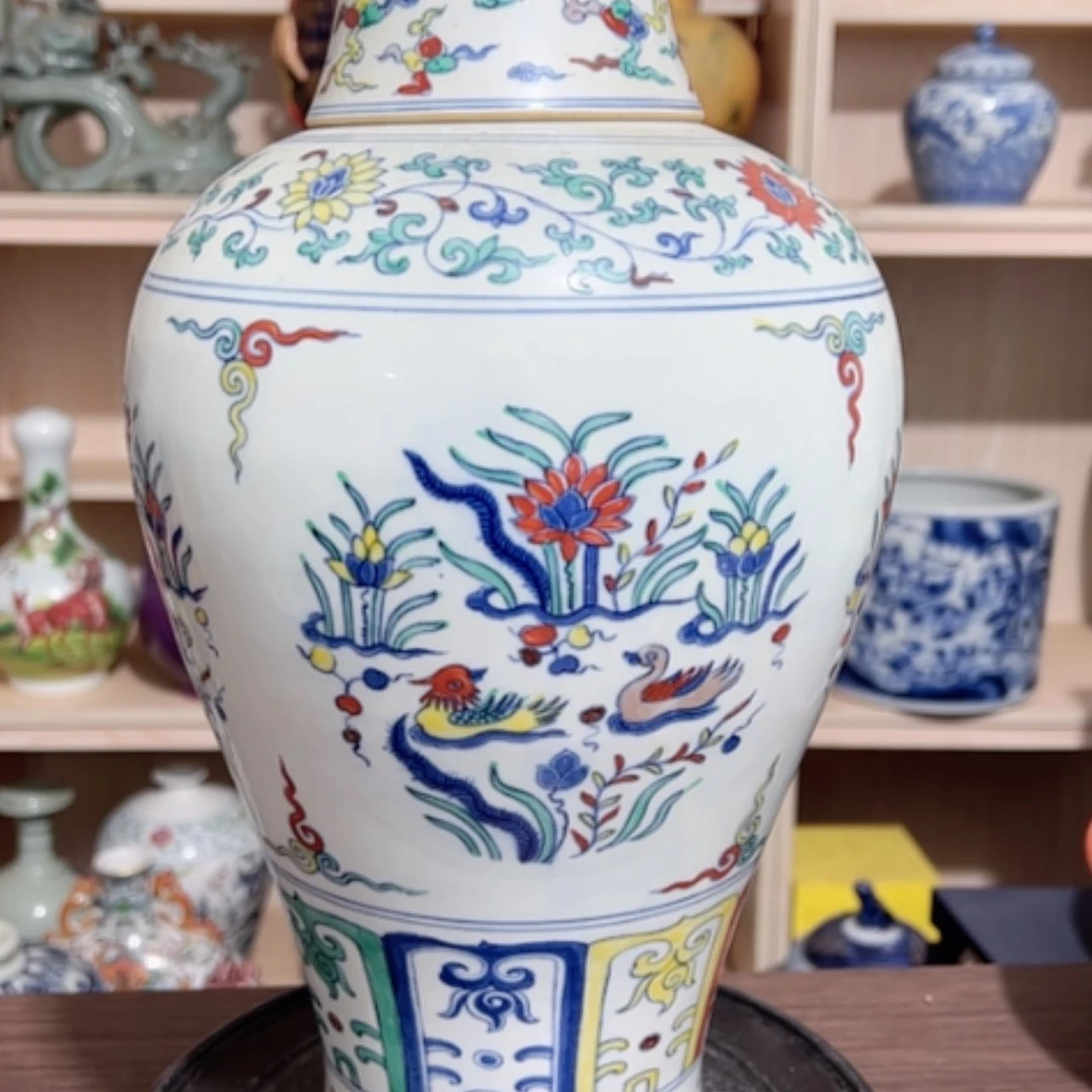 【闪购商品】陶点点滴滴点点滴滴