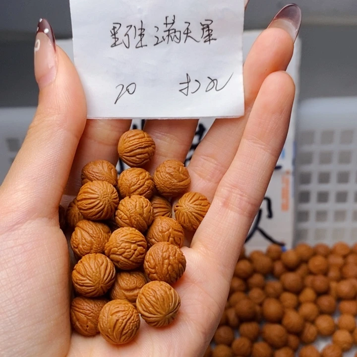 手串桃核11mm左右野生满天星20颗（打孔）