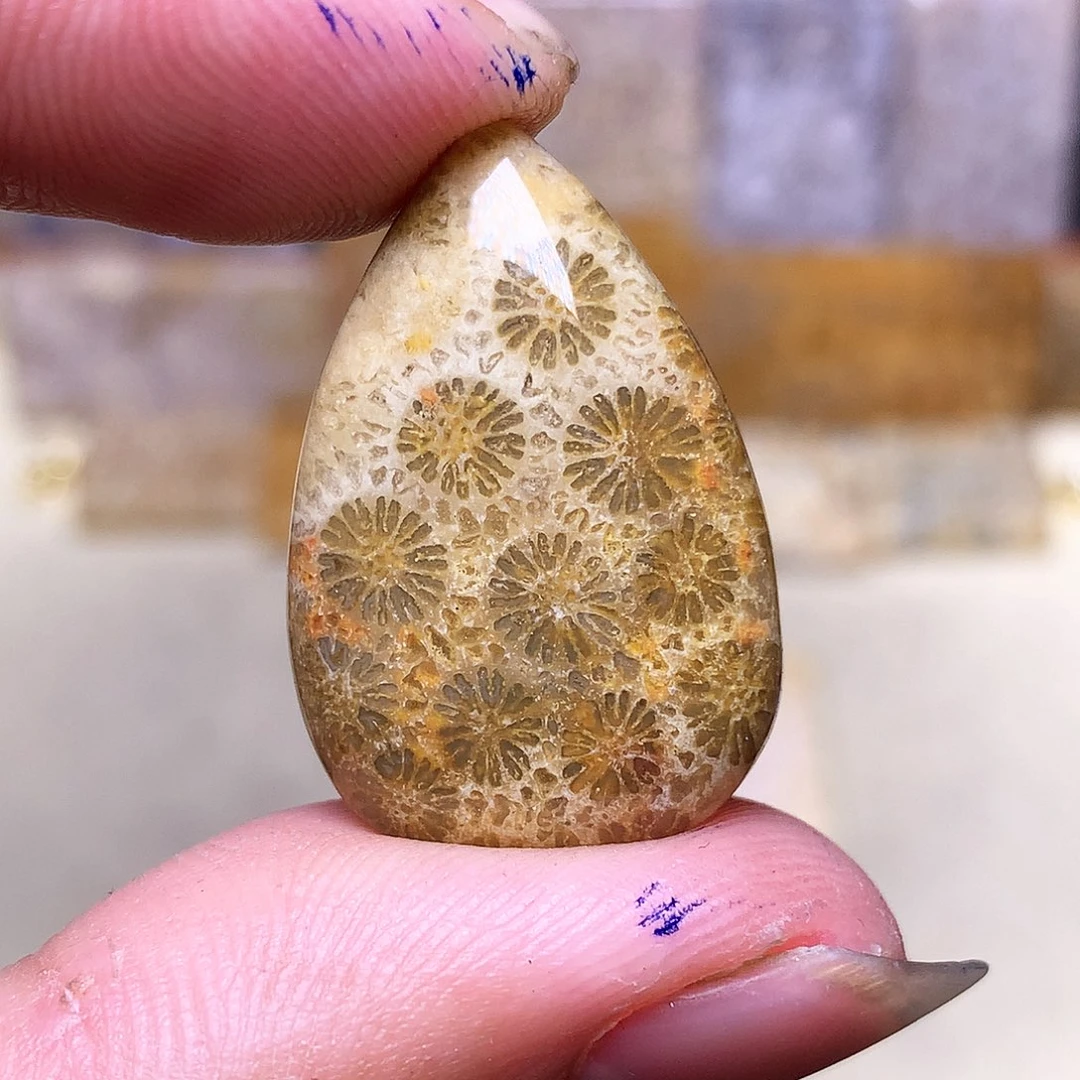 硅化玉珠宝奇石合金你****？