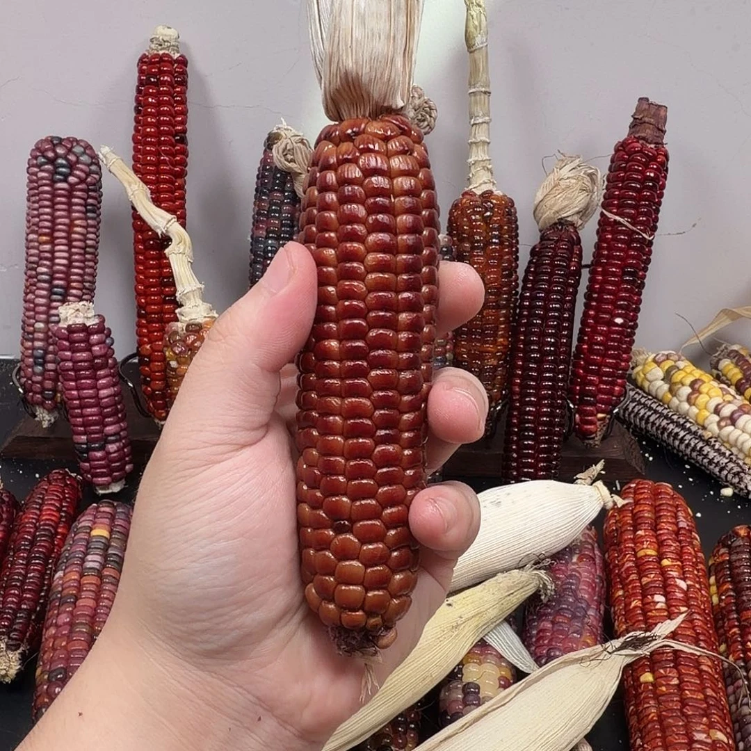 R***大叶紫檀（黑酸枝木类）