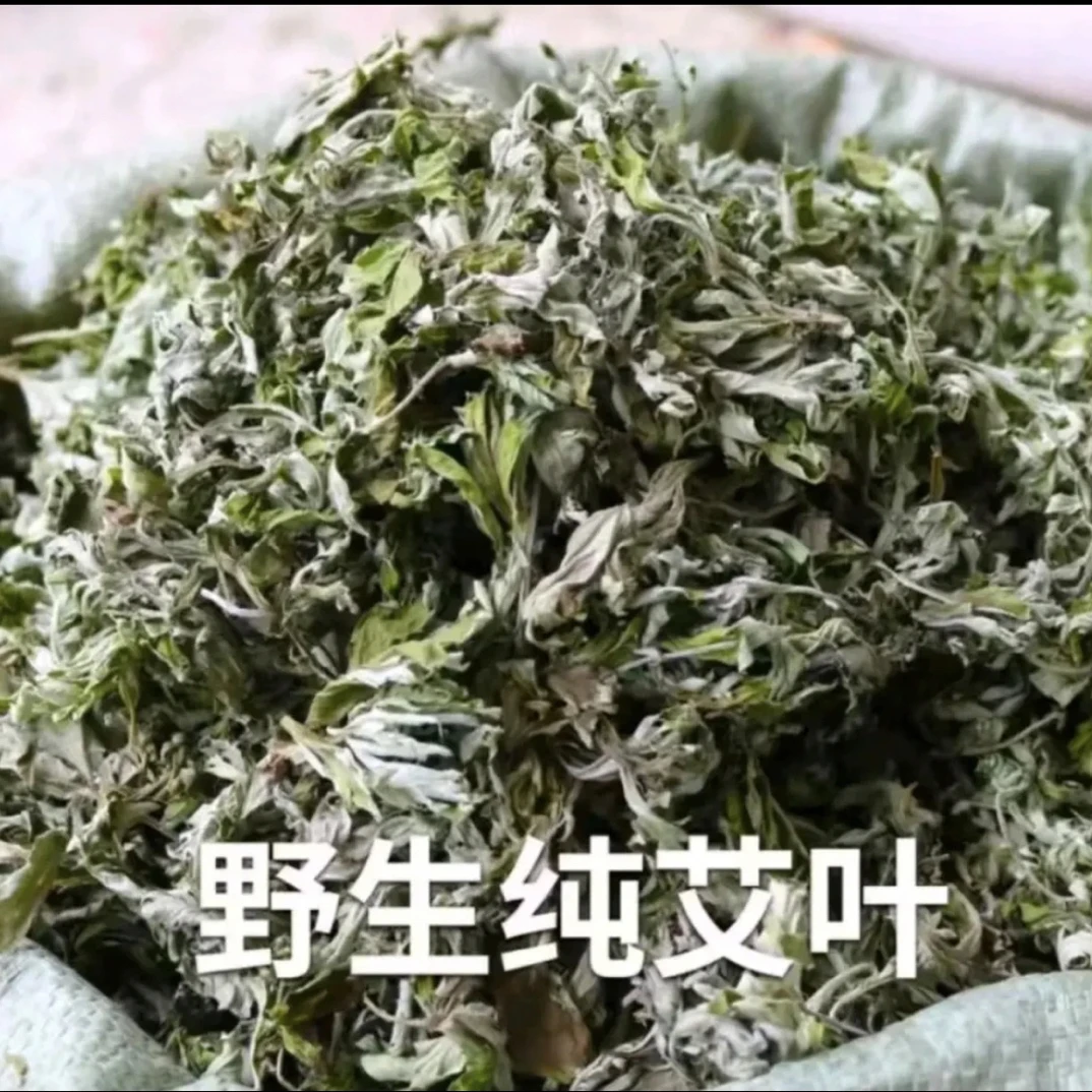 野生干艾草艾叶无杆