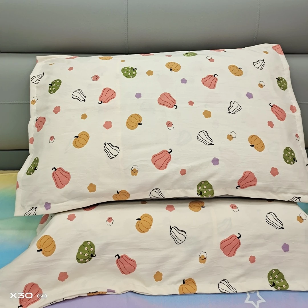 【103】加厚枕套48*74一对装 【南瓜佳人117】