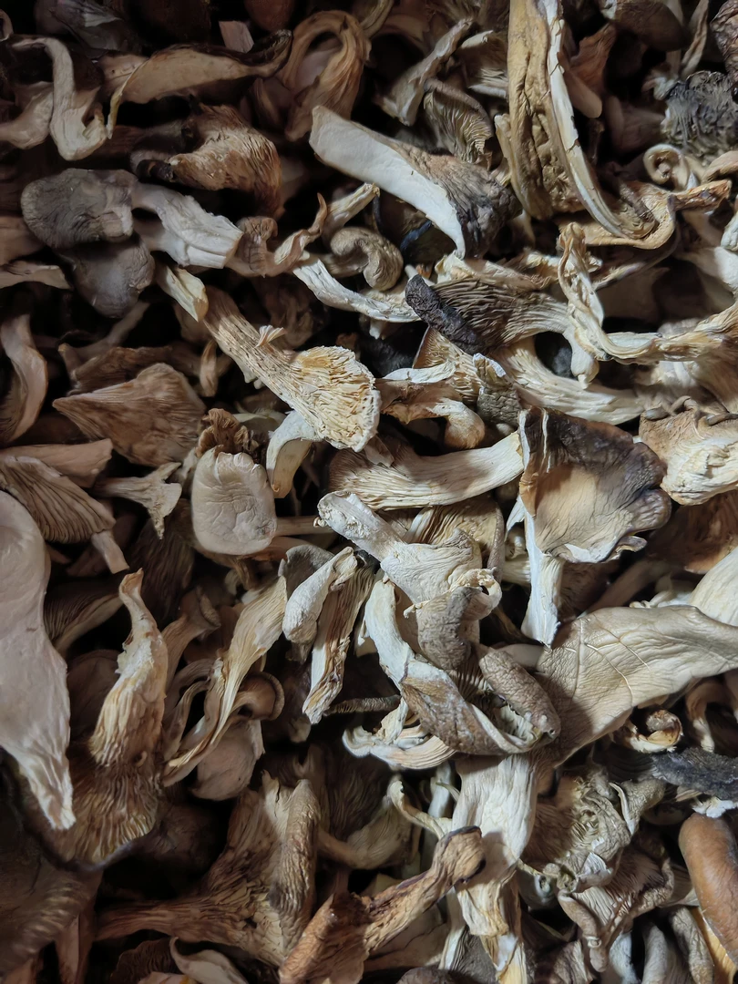 1 湘西现场收土特产平菇