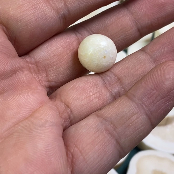 ****&大叶紫檀（黑酸枝木类）