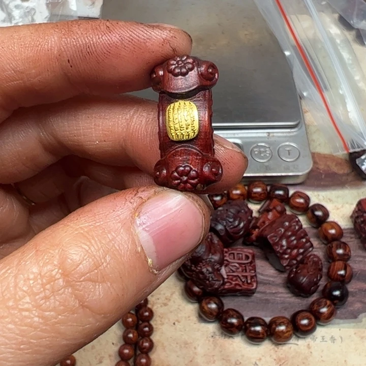 藤类海南红降如意