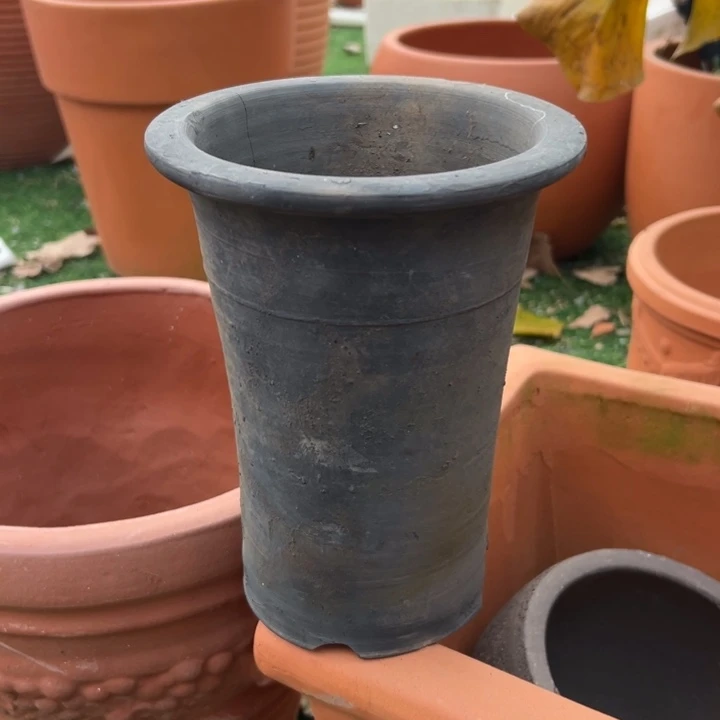 16×20 黑陶兰花微瑕