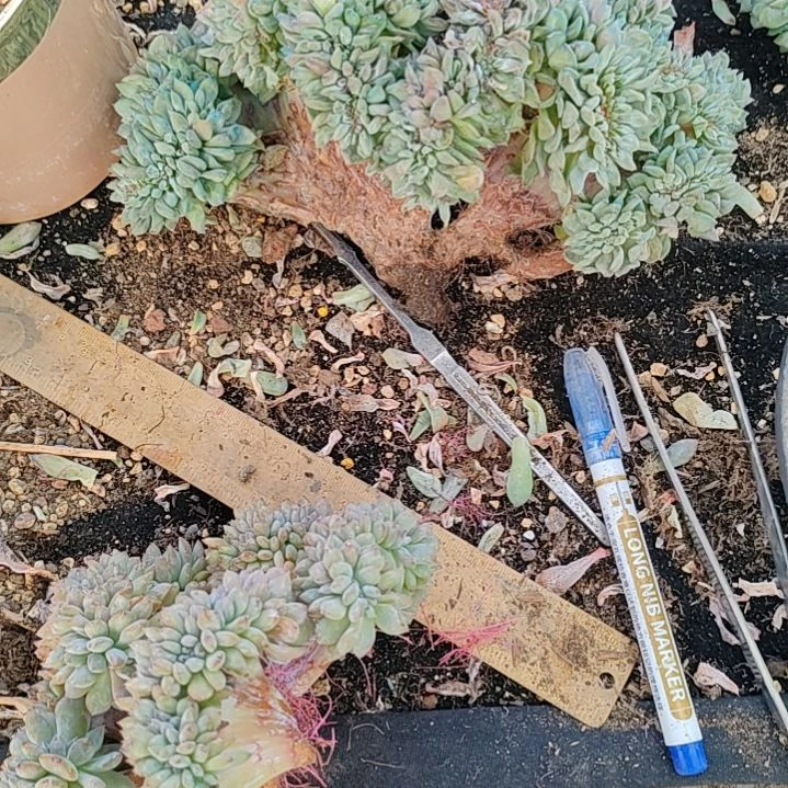 福利福利福利福利福利福利