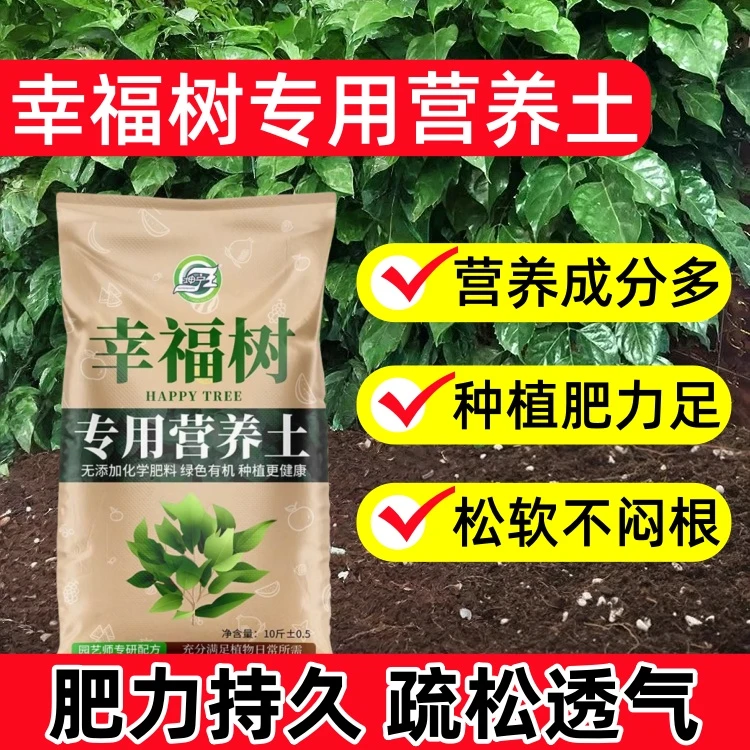 幸福树专用土营养土养花专用土壤幸福树专用肥料盆栽种植泥土花土