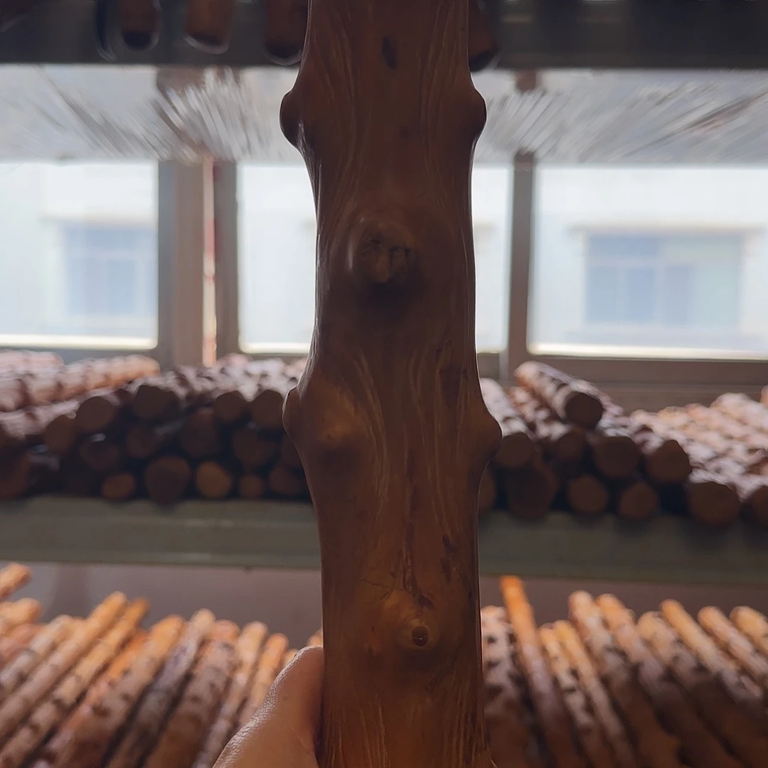 古***风云南对节木车载棍