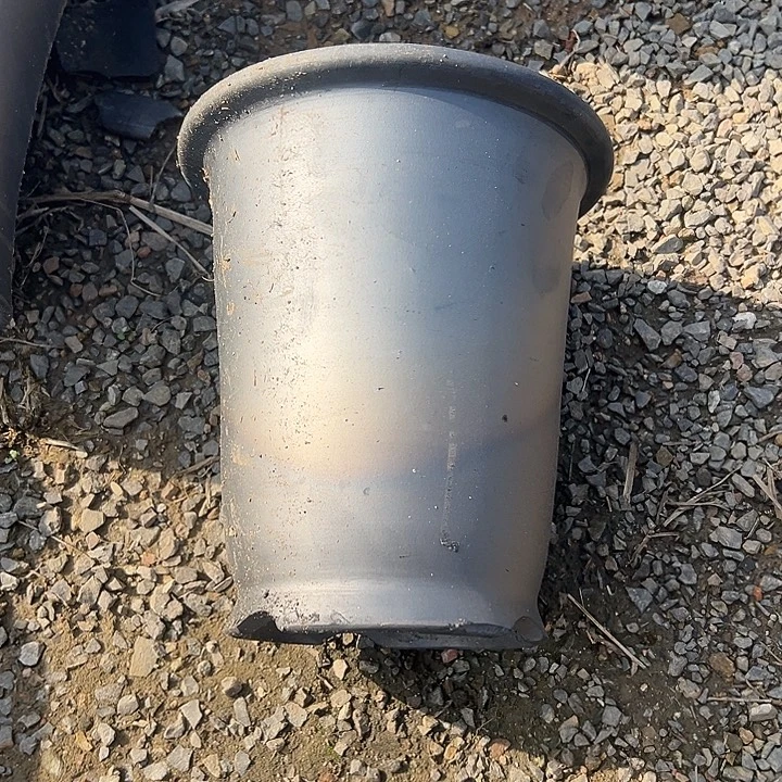 金钟放漏口径18高度20