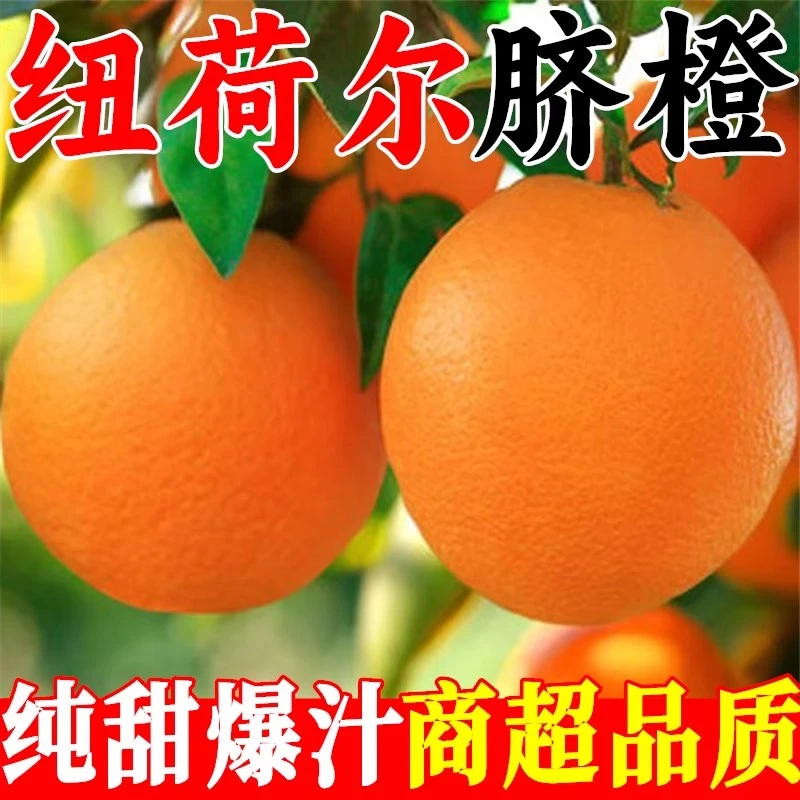正宗纯甜纽荷尔脐橙子新鲜水果非江西赣州赣南5/9斤当季大果爆汁