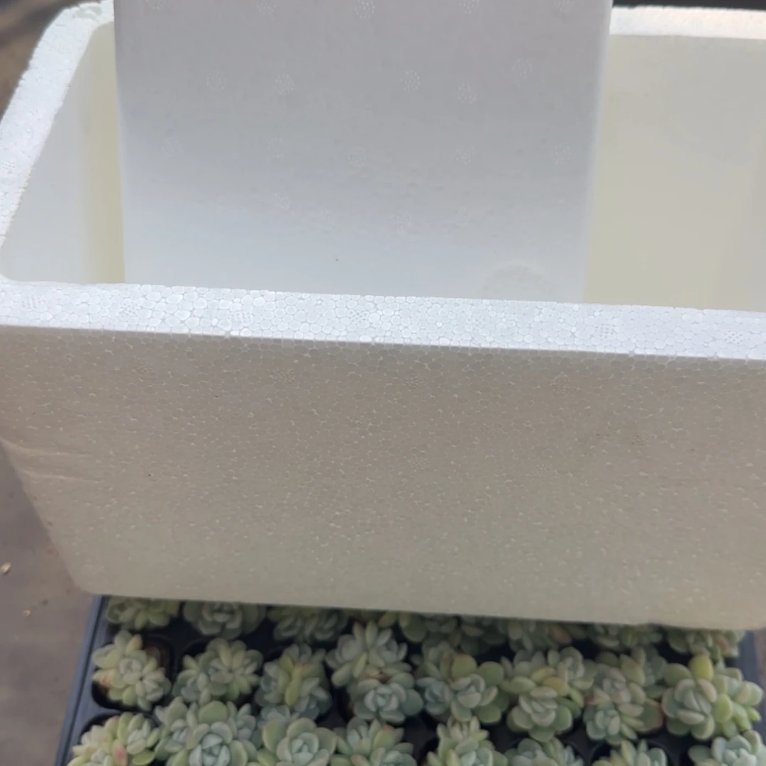 保温箱（0度以下必拍不拍冻伤无售后）