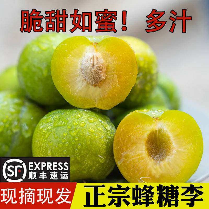 现摘现发贵州蜂糖李新鲜应季水果脆甜多汁李子大果顺丰原产地直发