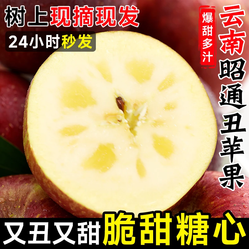 A 云南昭通冰糖心丑苹果5斤现摘非阿克苏新鲜水果红露红富士苹果