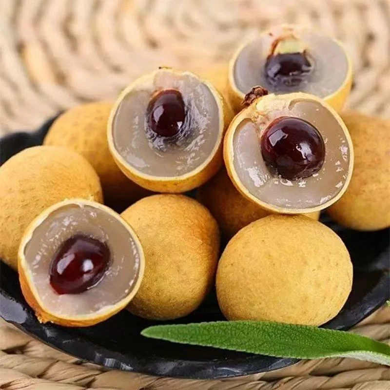 广东高州新鲜石硖龙眼现摘现发清甜多汁肉厚饱满当季水果