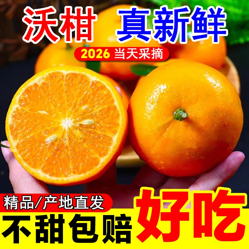 2026新鲜沃柑花皮果现摘现发水果柑橘子产地直发