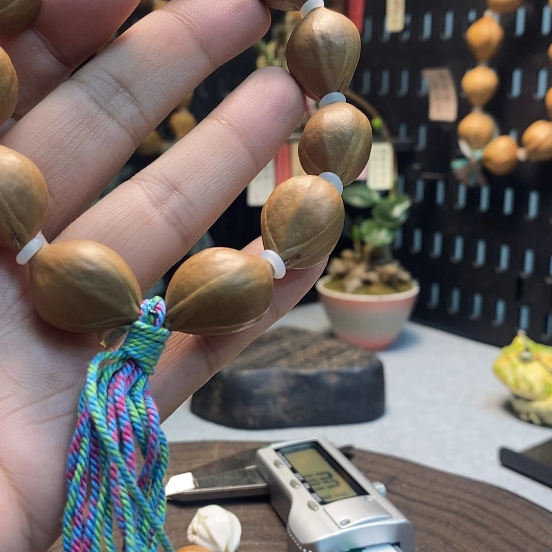 橄榄核手串/手链4152556699999