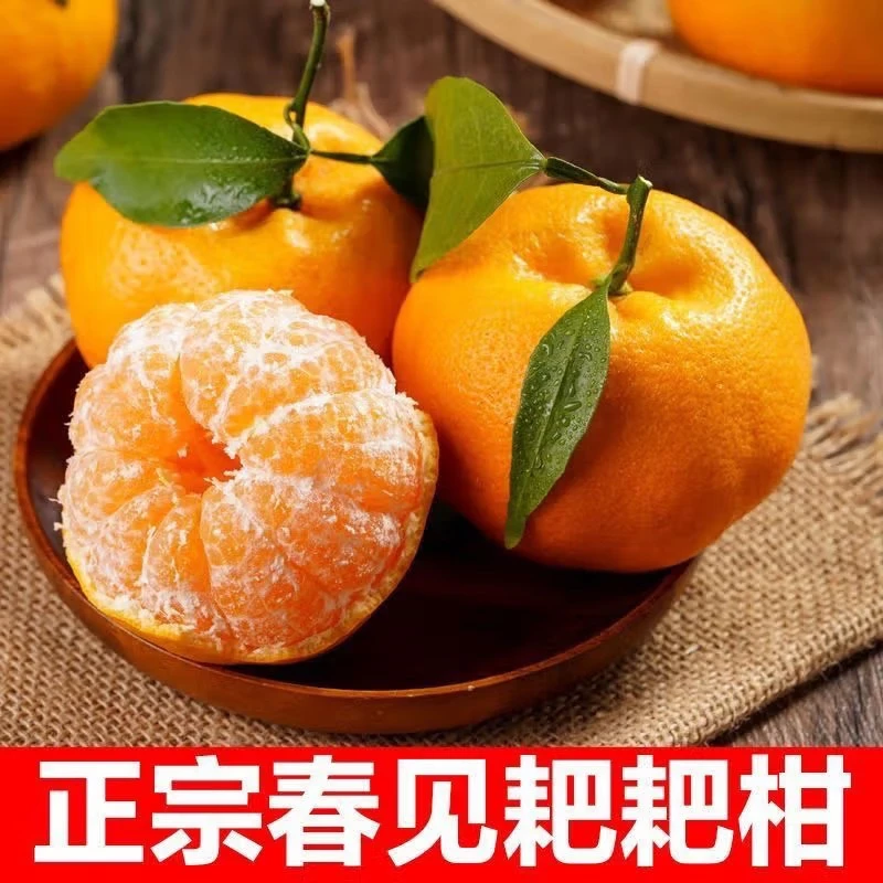 四川春见耙耙柑3斤/4.5斤新鲜应季水果橘子丑柑桔产地直发ZB