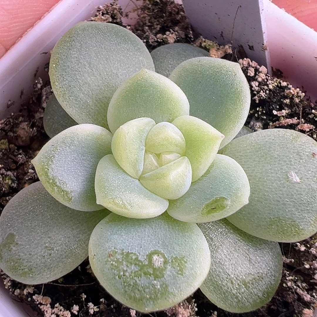 财富密码Ct。 原价28