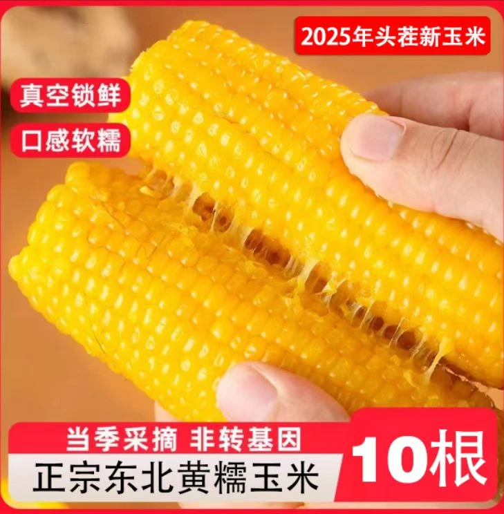 【10根大果6斤】东北黄糯玉米甜糯软香甜～活动倒计时1天（试吃3根）